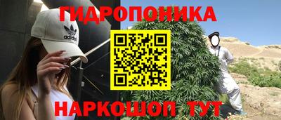 ешки Дубна