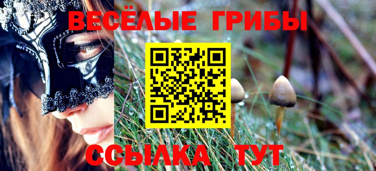 Михайловка  где продают   Вход с VPN  Галлюциногенные грибы Psilocybine cubensis 